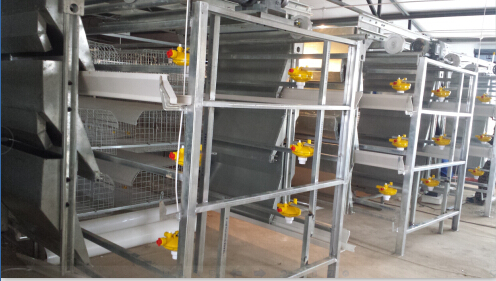 華羅2014年捷報(bào)連連，年底再簽大單