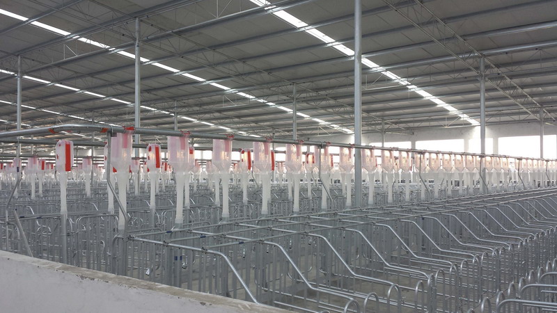 河南天兆豬業(yè)安裝現(xiàn)場(chǎng)