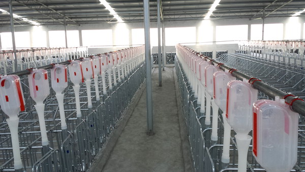 河南天兆豬業(yè)安裝現(xiàn)場(chǎng)