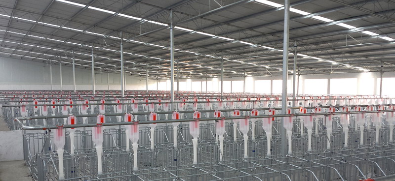 天兆豬業(yè)安裝現(xiàn)場(chǎng)