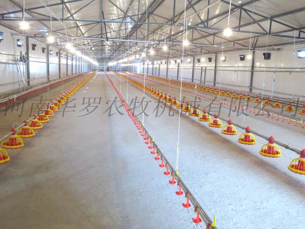 甘肅中盛集團(tuán) 肉雞平養(yǎng)自動(dòng)供料系統(tǒng)安裝實(shí)例
