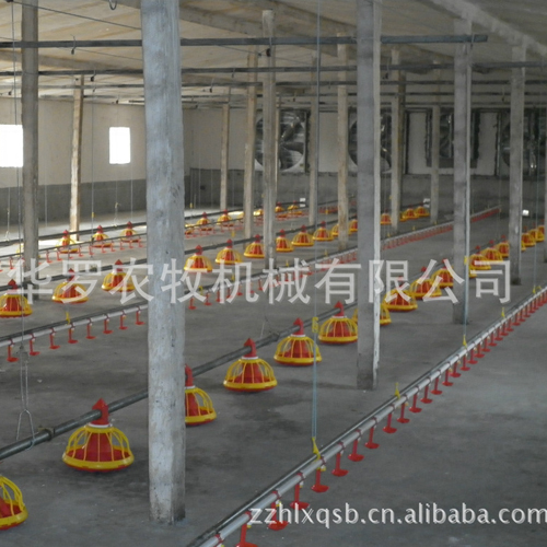 肉雞喂料系統(tǒng)