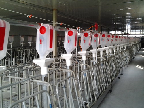 豬舍自動(dòng)喂料