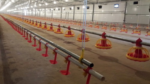 肉雞絞龍供料飲水系統(tǒng)