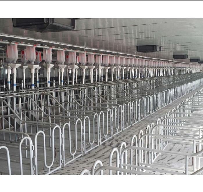 豬舍塞盤自動(dòng)供料