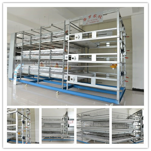 肉雞籠養(yǎng)全套設備/肉雞籠養(yǎng)自動喂料喂水清糞