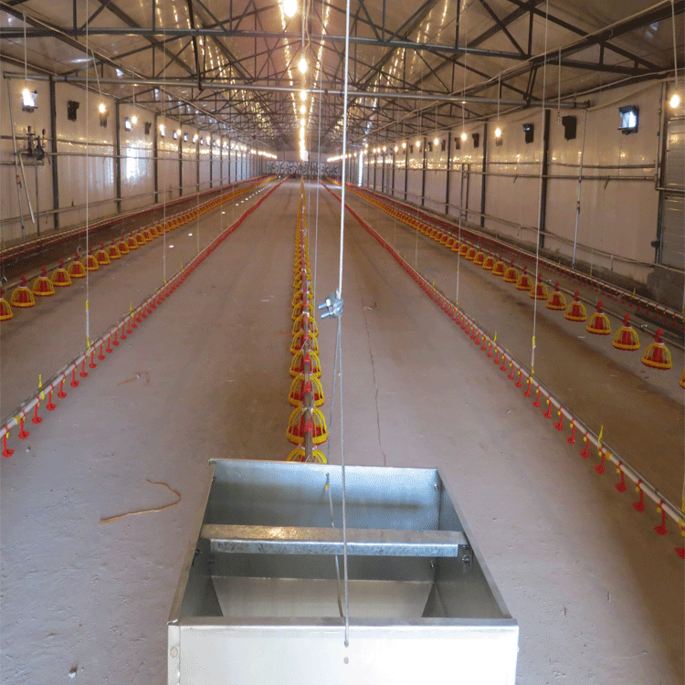 種雞鏈條盤式循環(huán)自動供料系統(tǒng)